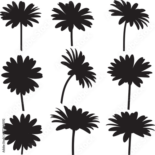 Collection of nine distinct daisy flower silhouettes with various petal arrangements and perspectives, perfect for botanical, natural, floral, and decorative design elements