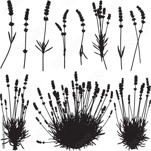 A diverse collection of black lavender flower and bush silhouettes, showcasing various bloom spikes and plant forms, ideal for botanical, herbal, and decorative designs