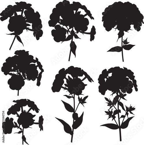 Collection of phlox flower and plant silhouettes, ideal for botanical, nature, and floral design themes. Perfect for garden illustrations, vibrant motifs, and organic patterns