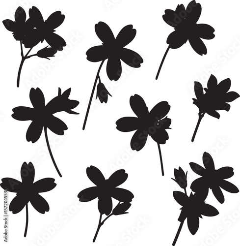 Collection of delicate flower silhouettes, ideal for botanical, nature, and floral design themes. Perfect for garden illustrations, spring motifs, and organic patterns