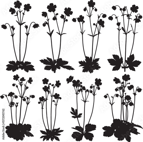 Botanical silhouette collection of wild strawberry plants with delicate blossoms and leaves, perfect for natural history illustrations, garden-themed designs, and organic product packaging