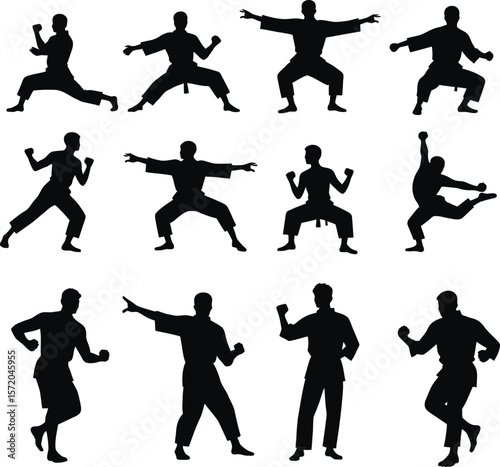 Twelve karate silhouettes martial arts poses training