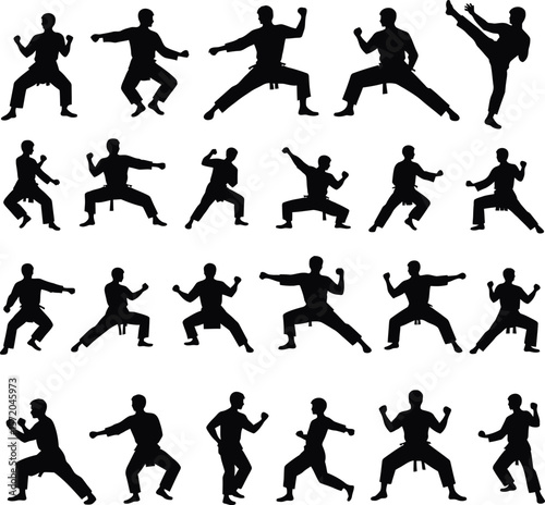 Karate martial arts silhouettes diverse poses training