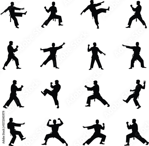 Twelve karate silhouettes martial arts poses action