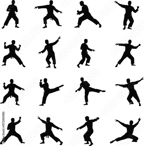 Karate martial arts silhouettes diverse poses training