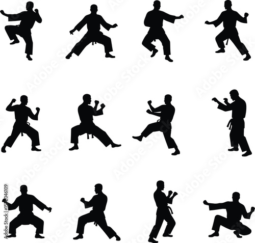 Karate martial arts silhouettes men training poses