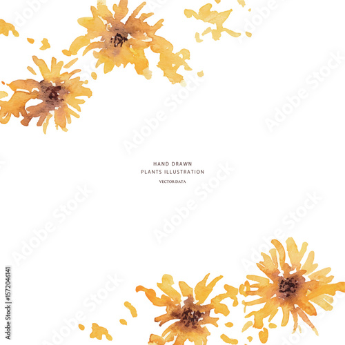 ひまわりのベクターイラスト。水彩タッチで描いた夏の向日葵背景。Vector illustration of sunflowers. Summer sunflower background with watercolor touch.