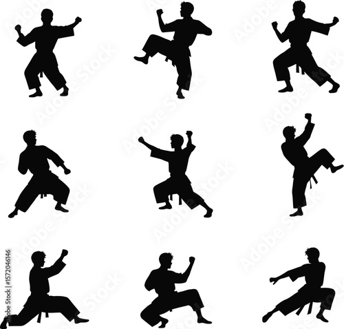Karate martial arts silhouettes diverse poses training
