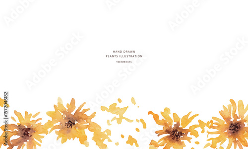 ひまわりのベクターイラスト。水彩タッチで描いた夏の向日葵背景。Vector illustration of sunflowers. Summer sunflower background with watercolor touch.