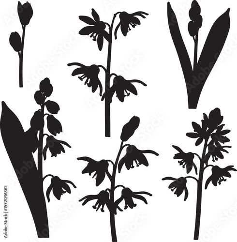 Collection of bluebell flower and bud silhouettes, ideal for botanical, nature, and floral design themes. Perfect for garden illustrations, woodland motifs, and organic patterns
