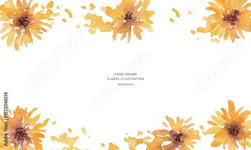 ひまわりのベクターイラスト。水彩タッチで描いた夏の向日葵背景。Vector illustration of sunflowers. Summer sunflower background with watercolor touch.