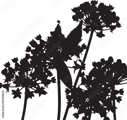 Abstract vector silhouette of delicate allium flowers with blooming inflorescences, perfect for graphic design elements, botanical illustrations, and nature-themed projects