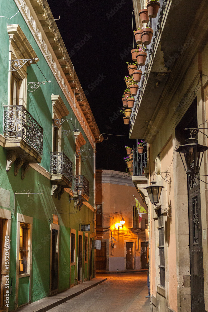 Fototapeta premium Nighttime Alley Lined with Potted Plants in Guanajuato Mexico
