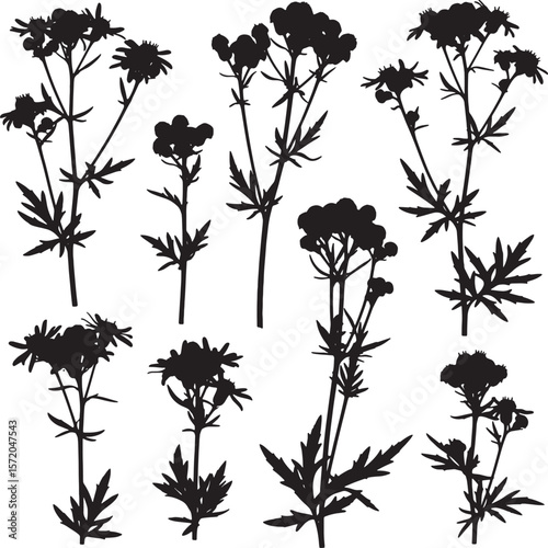 A versatile collection of various plant silhouettes, featuring delicate blossoms and intricate foliage, ideal for botanical illustrations, natural patterns, and elegant nature-themed designs