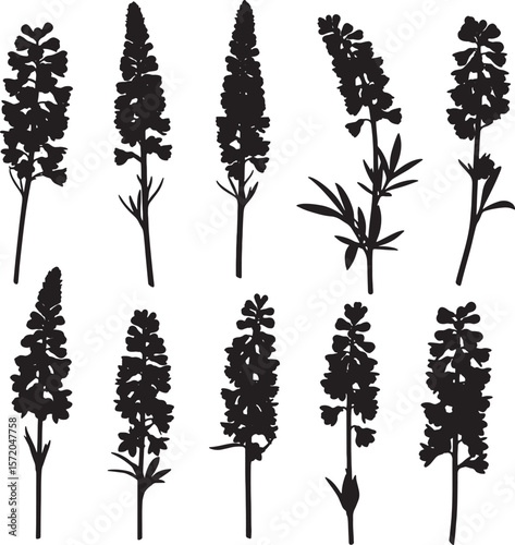 A collection of ten slender black flower spike silhouettes, showcasing various intricate floral structures and natural forms, ideal for botanical illustrations and decorative designs