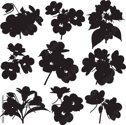 Collection of various primrose flower silhouettes with distinct blossoms and delicate stems, ideal for botanical illustrations, garden themes, floral patterns, and natural decorative elements