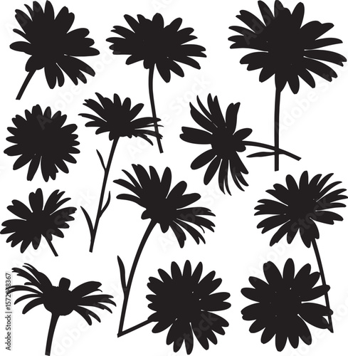 A versatile collection of detailed daisy flower silhouettes, showcasing various bloom stages and graceful stems, perfect for botanical designs, natural patterns, and elegant floral illustrations