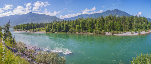 Summer mountain landscape, wild river and forest on the bank, sunny day