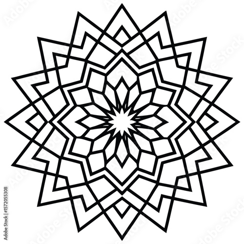 Geometric shape of black lines creates an elaborate floral pattern which looks great over transparency