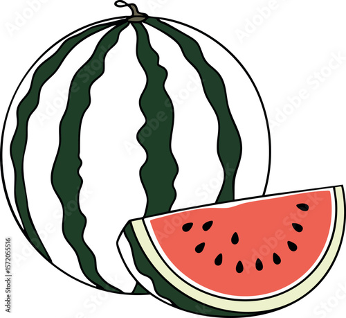 Watermelon whole and sliced fresh red fruit with green stripes vector illustration
