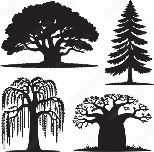 Majestic oak tree with sprawling branches and weeping willow foliage pine