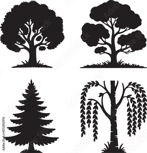 Majestic oak sprawling branches evergreen weeping willow tree foliage