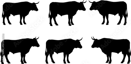 Saddle Back Bronc Silhouette Vector
