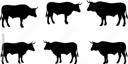 Saddle Back Bronc Silhouette Vector
