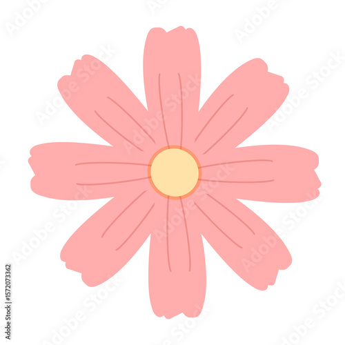 秋の花コスモスの素材