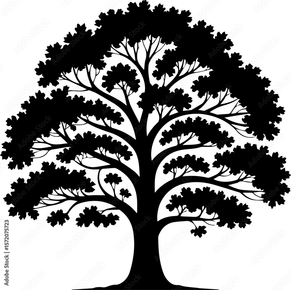 Obraz premium mango tree silhouette vector illustration