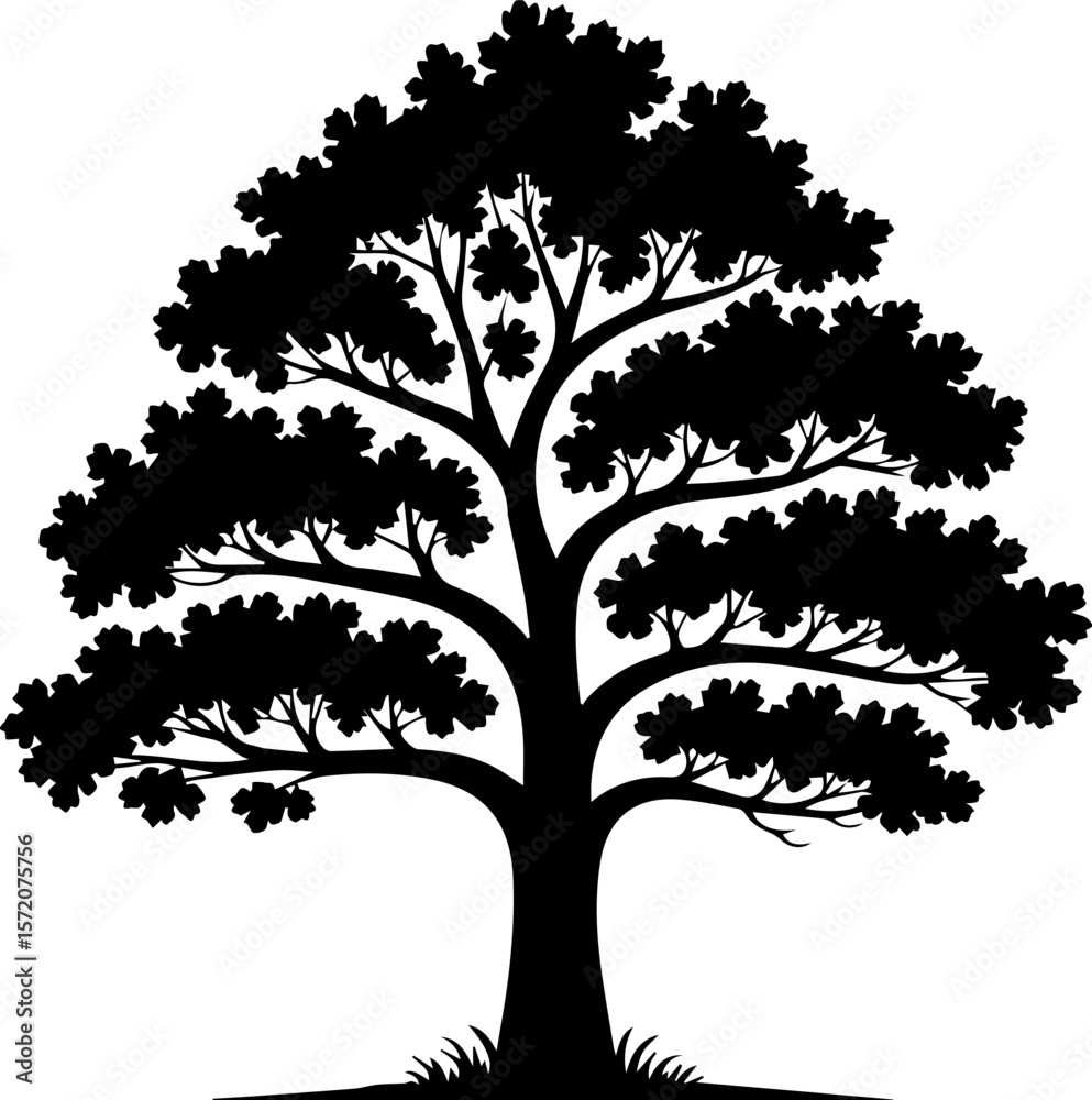 Fototapeta premium mango tree silhouette vector illustration