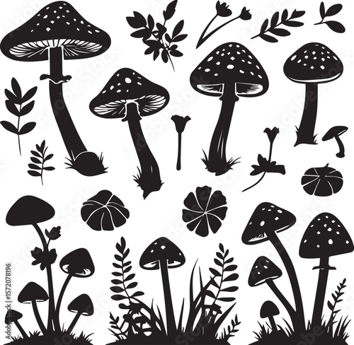 set of vector mushrooms nature black white background 
