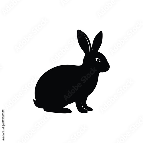 black rabbit isolated on white background