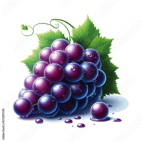 Realistic Purple Grapes with Leaf Vector Illustration on White Background