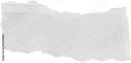 Fotografia White ripped recycle craft paper torn edges strips isolated on black background