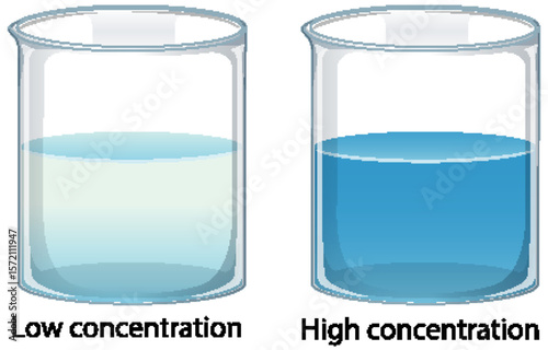 Comparison of Low and High Concentration Solutions