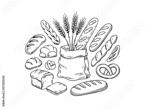 Hand drawn bakery bread vector illustration collection of fresh baked goods and wheat ears sketch style art silhouette
