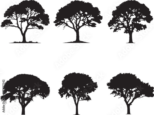 Detailed Tree Silhouette Vector Pack