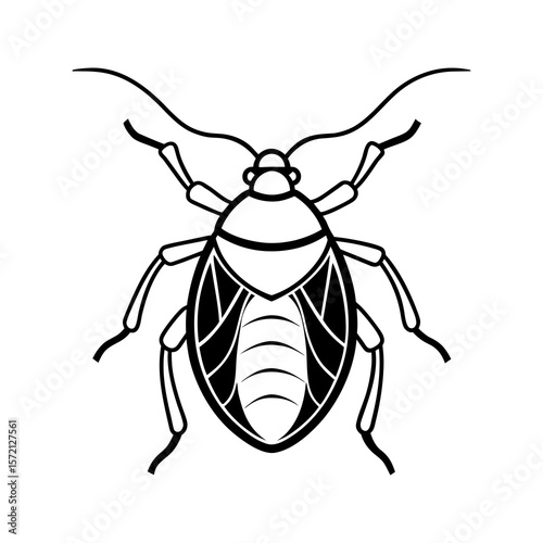 Stink bug vector art insect design bug illustration pest graphic entomology art vector illustration isolated on a white background