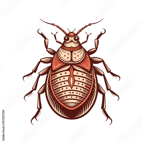 Stylized beetle illustration vintage insect art vector isolated on a white background