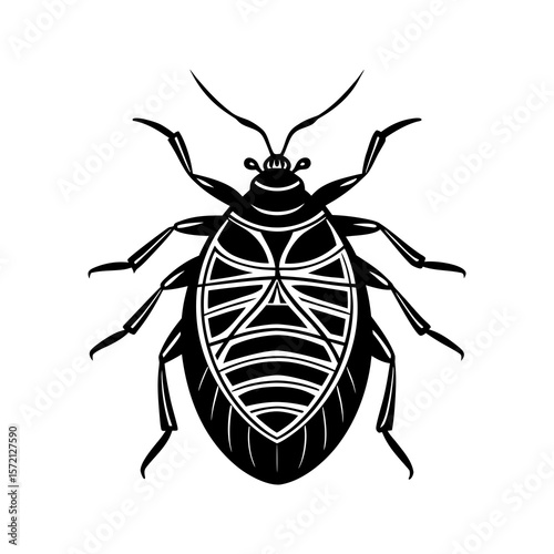 Stylized stink bug vector art insect design entomology nature black and white vector illustration isolated on a white background