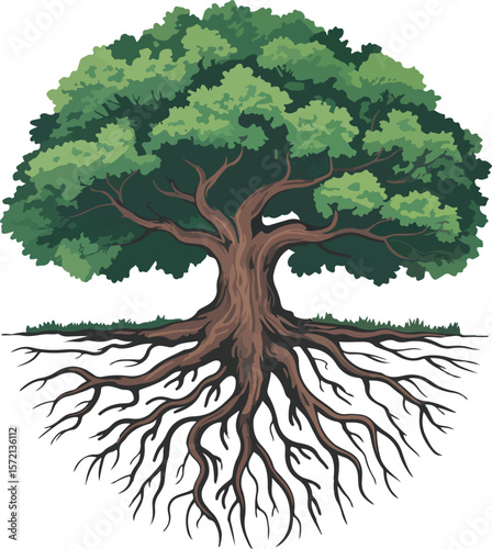 A strong tree with sprawling roots and lush foliage Transparent isolated vector png