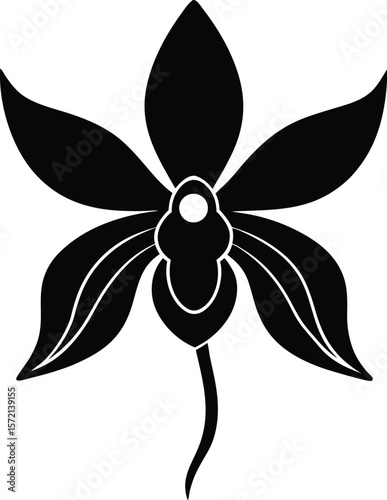 Ghost Orchid Vector Silhouette in Minimal Clean and Simple Style Silhouette Vector Art Illustration