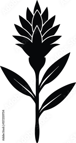 Indian Paintbrush Vector Silhouette in Minimal Clean and Simple Style Silhouette Vector Art Illustration