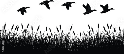 Flying ducks silhouette, cattail grass illustration, marshland birds vector, black and white wildlife scene, nature landscape design, outdoor decor art