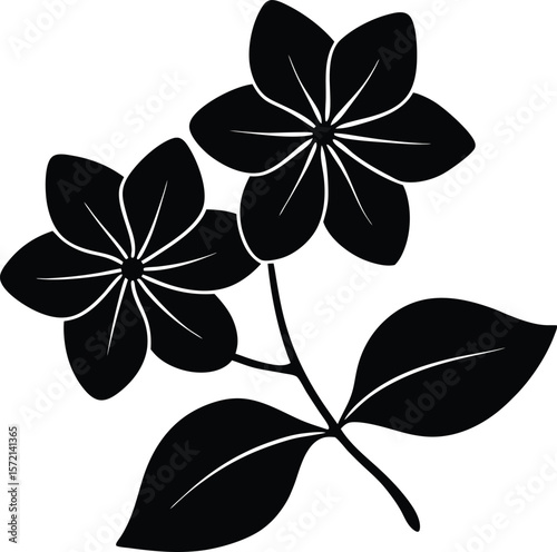 Plumbago Vector Silhouette in Minimal Clean and Simple Style Silhouette Vector Art Illustration