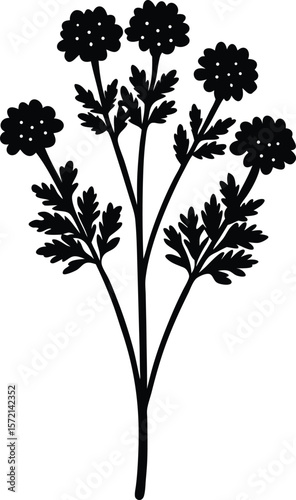 Tansy Vector Silhouette in Minimal Clean and Simple Style Silhouette Vector Art Illustration