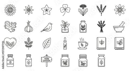  Herbal Medicine and Natural Remedies Line Icon Set
