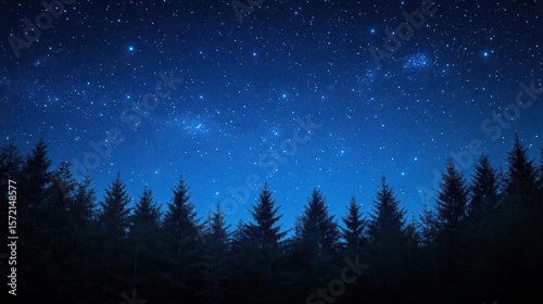 Fototapeta Naklejka Na Ścianę i Meble -  starry night sky