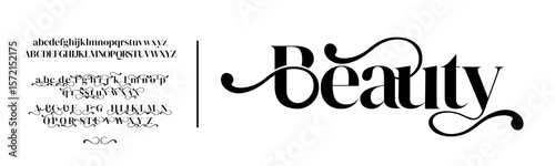 elegant font alphabet uppercase lowercase. Classic lettering minimal fashion designs. Typography modern serif fonts regular decorative vintage concept. Vector illustration